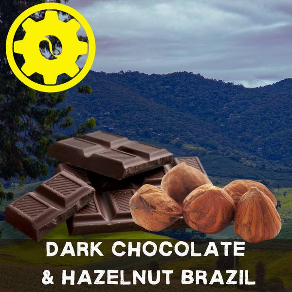 Dark Chocolate & Hazelnut Brazil